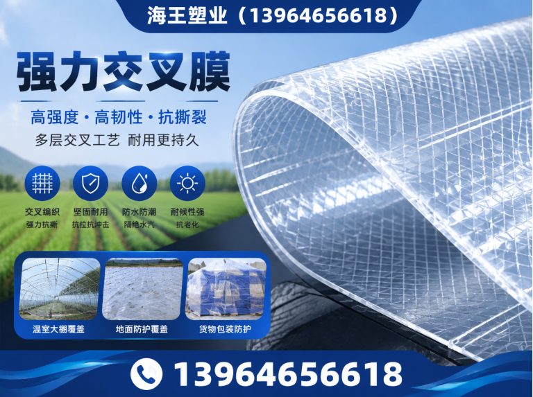 潍坊长丝聚酯胎展示图